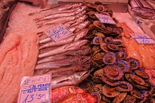 A display of various fresh fish is laid out on a bed of ice at a market, with price tags indicating their cost photo