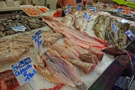 A display of various fresh fish is laid out on a bed of ice at a market, with price tags indicating their cost photo