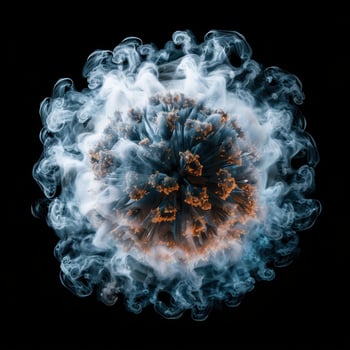 Smoky dandelion flower against black background photo