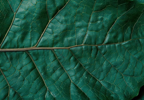 Intricate leaf texture with golden veins photo