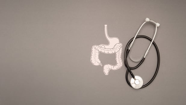 A stethoscope and large intestine shape made from paper over a gray background photo