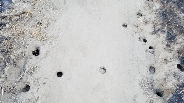 Holes from Animals on a Trail at Towsley Canyon Park, near Santa Clarita, CA photo