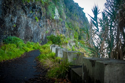 View on old and abandoned mountain road in Madeira with nature taking over photo