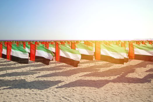 Celebration of National Day of the United Arab Emirates photo