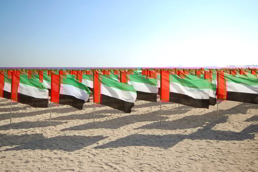 Celebration of National Day of the United Arab Emirates photo