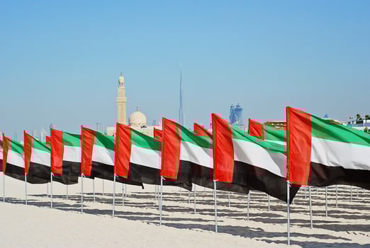 General view of the flags and the mosque in the background photo