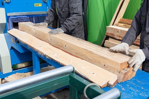 Workers sawing a log at a sawmill photo
