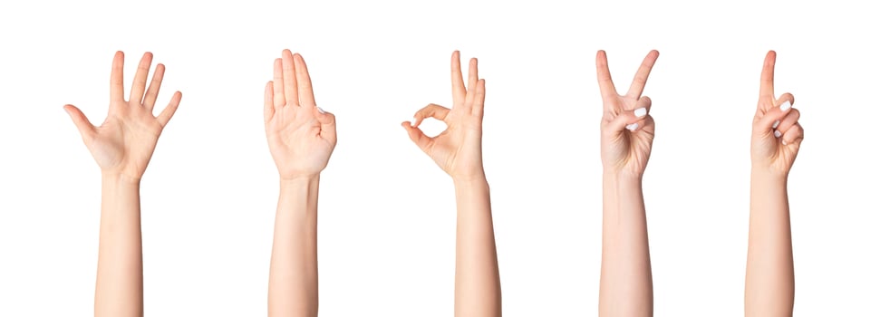 Collage with unrecognizable woman showing various gestures isolated on white, closeup. Panorama photo