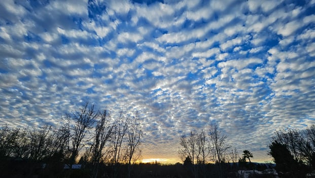 Beautiful cloud patterns formed in a summer afternoon in a blue sky with a silhouette of tree shadows in the background in walnut creek, California photo