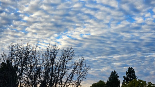 Beautiful cloud patterns formed in a summer afternoon in a blue sky with a silhouette of tree shadows in the background in walnut creek, California photo