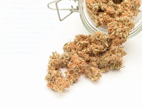 Dry cannabis buds flower outside of a jar on a white background photo