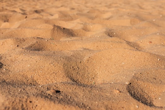 Close-up of sand texture on the beach in summer. Red Sea, Egypt. Copy space. photo