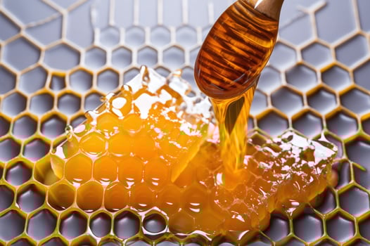 Honeycomb with sweet honey dripping photo