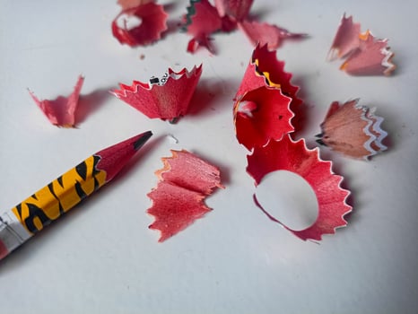 Pencils and pencil saws are placed on white paper photo