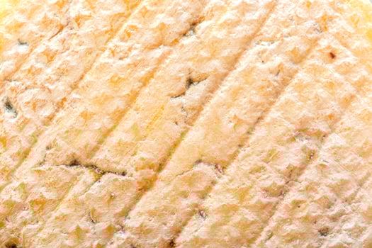 cheese close up photo