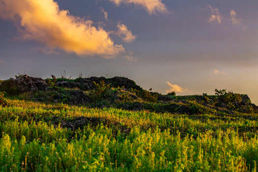 Landscape of Rocky Hills Covered With Green Grass and Other Wild Plants in The Evening photo