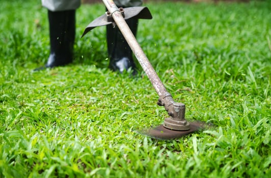 the man mowing tall grass with electric or petrol lawn trimmer in the backyard. photo