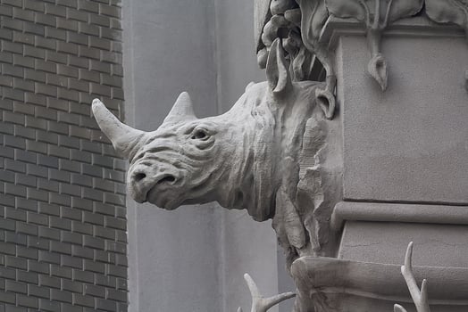 A close up on rhinos on the side wall of House with Chimaeras in Kiev, Ukraine. photo