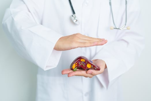Doctor with human Liver anatomy model. Liver cancer and Tumor, Jaundice, Viral Hepatitis A, B, C, D, E, Cirrhosis, Failure, Enlarged, Hepatic Encephalopathy, Ascites Fluid in Belly and health concept photo