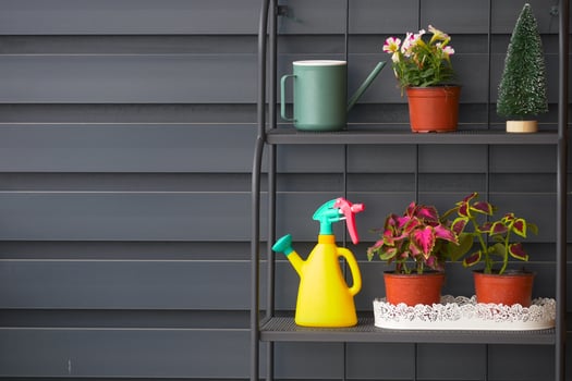 A colorful plant arrangement displayed on a modern shelf accompanied by a decorative watering can photo