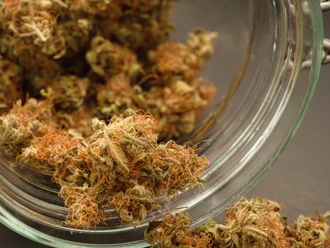 Close-up of dried cannabis outside a glass jar photo