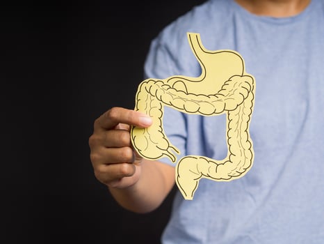 Hand holding a large intestine shape made from yellow paper while standing on a black background photo