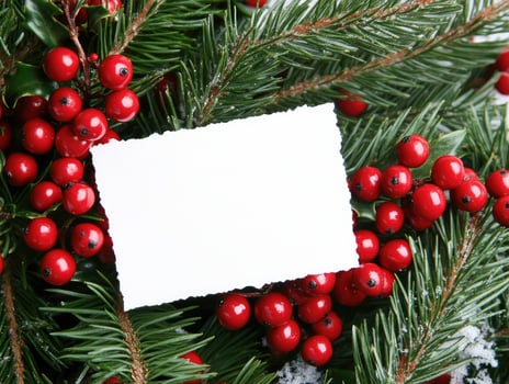 Festive holiday blank card design with holly and evergreen background for Christmas greetings photo