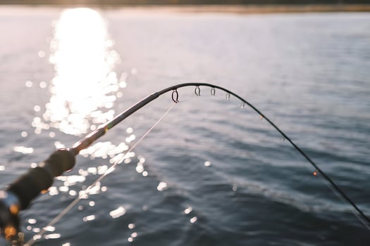 Tranquil fishing moment with a rod extended over water, reflecting golden light photo
