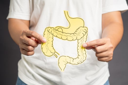 Hand holding a large intestine shape made from yellow paper while standing over a gray background photo