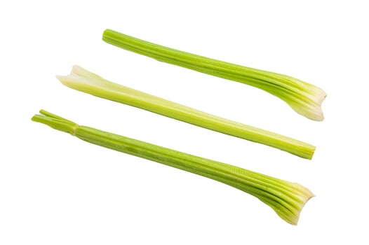 Fresh uncooked celery sticks isolated on white background, top view photo