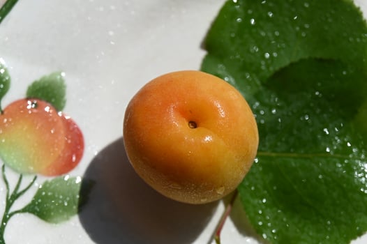 a single orange on a plate with leaves photo