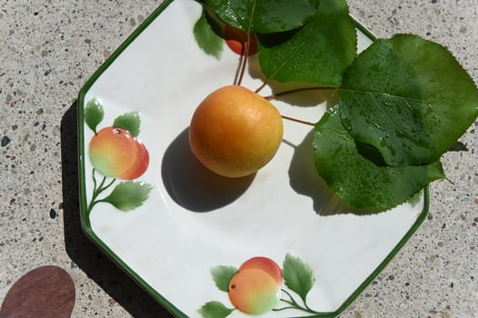 a plate with an orange and a leaf on it photo