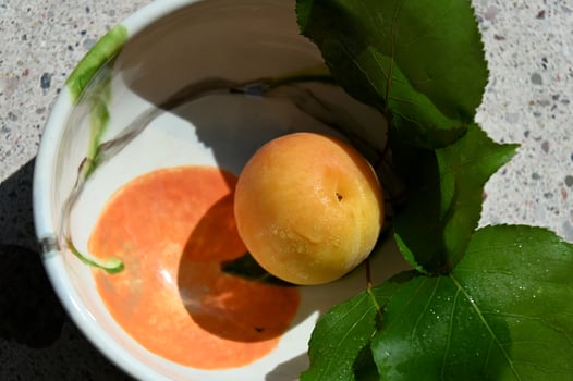 a bowl with a peach and a leaf on it photo