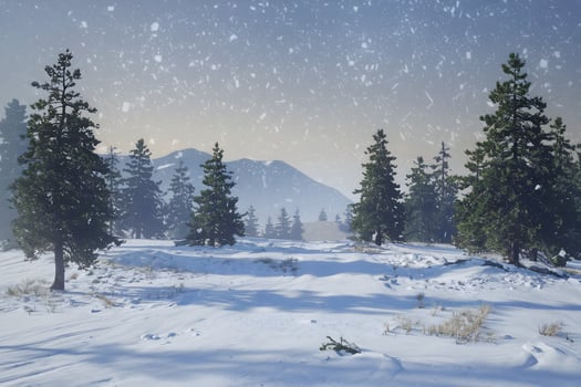Snow blankets the ground, trees, and distant mountains in serene stillness photo