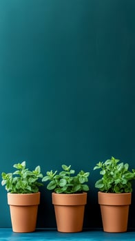 Mint stems contained in sunken pot barriers, photorealistic wallpaper photo