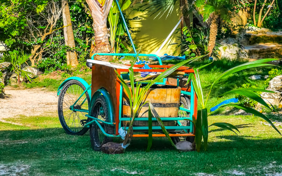 Mexican tricycle in tropical nature in Cancun Mexico. photo