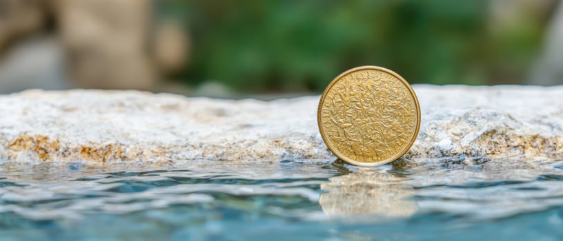 golden coin on wet rock photo