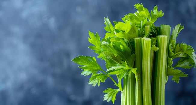 Fresh green celery stalks against a stormy sky photo