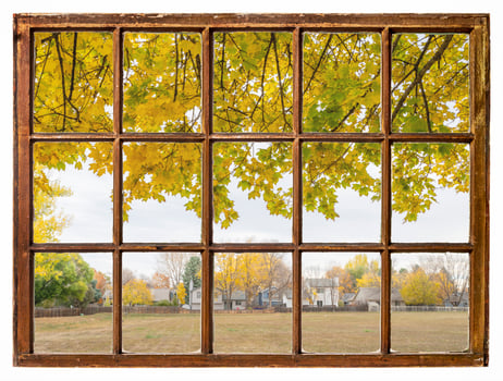 nostalgic fall landscape in residential area with a maple tree as seen from a vintage sash window photo