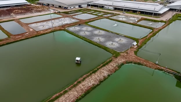 The aerial view of many ponds and paths near the manufactory shot by drone. photo