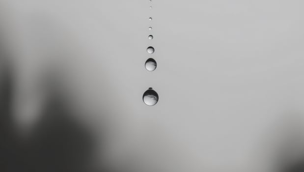Elegance in simplicity A droplet of life. photo