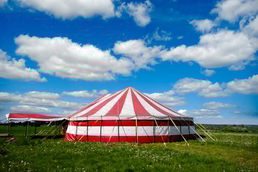 Circus tent on green grass photo