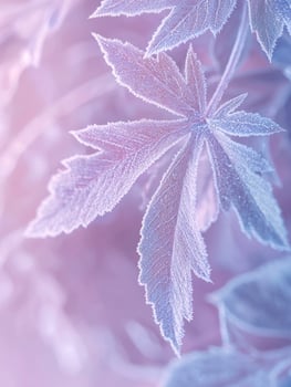 Delicate Frosted Leaves on a Gentle Pink Background, Capturing the Beauty of Cold Winter Mornings and the Intricate Designs of Natures Artwork photo