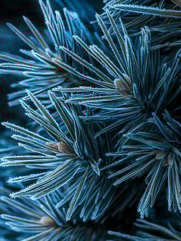 Frosted Pine Needles in Winter Close-Up Image Capturing the Icy Beauty and Intricate Details of Nature's Winter Wonderland photo