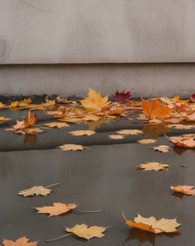 A puddle of water with fallen leaves on the ground. photo