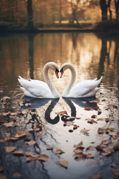 Swans forming a heart shape on a serene lake at sunset photo