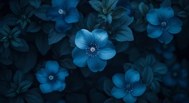 Ethereal Blue Flowers in Moody Lighting photo