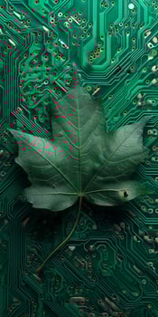 Green leaf on a circuit board representing technology and nature photo