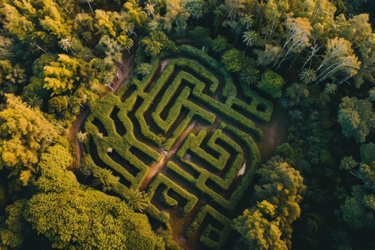 Aerial View of a Lush Green Maze in a Forest photo