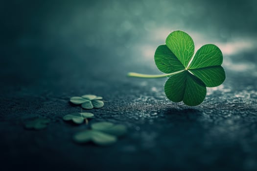 Lucky four leaf clover standing out among three leaf shamrocks photo